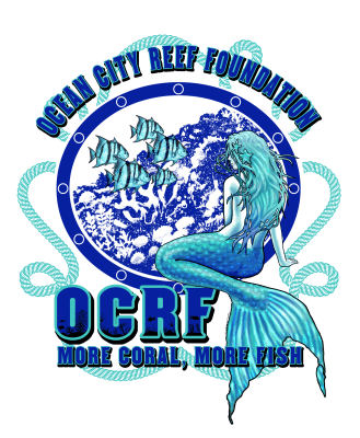 oc-reef-foundation-2020-mermaid-back-4.png